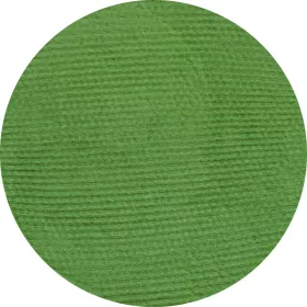   EULENSPIEGEL Profi Aqua Perlglanz 3,5 ml/5 g- Professzionális arc- és testfesték pasztilla - Moosgrün