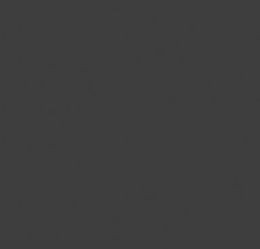 PAESE Brow setter Pencil - Szemöldökceruza - Graphite